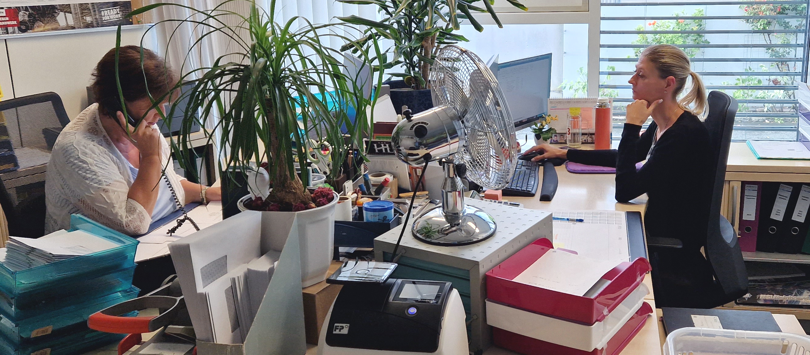 Wicknorm Wurzer und Tschinder